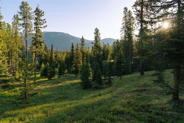 LOT206 Outlook Trl, Big Sky, MT 59716 - photo 10