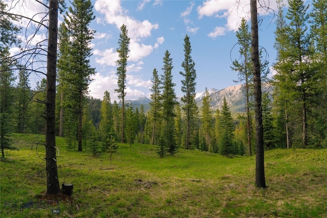 LOT206 Outlook Trl, Big Sky, MT 59716 - photo 11