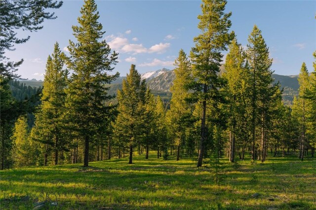 LOT206 Outlook Trl, Big Sky, MT 59716 - photo 12