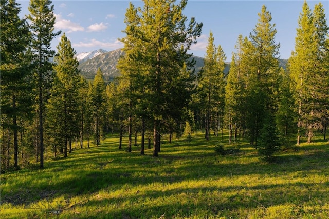 LOT206 Outlook Trl, Big Sky, MT 59716 - photo 13