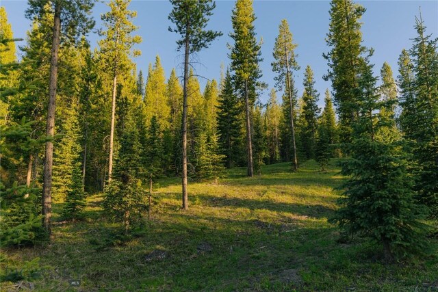 LOT206 Outlook Trl, Big Sky, MT 59716 - photo 14