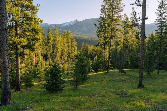 LOT206 Outlook Trl, Big Sky, MT 59716 - photo 15