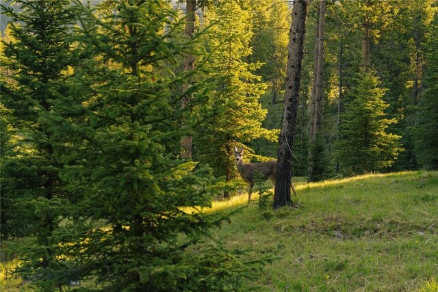 LOT206 Outlook Trl, Big Sky, MT 59716 - photo 16