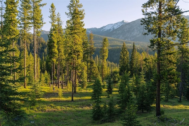 LOT206 Outlook Trl, Big Sky, MT 59716 - photo 17