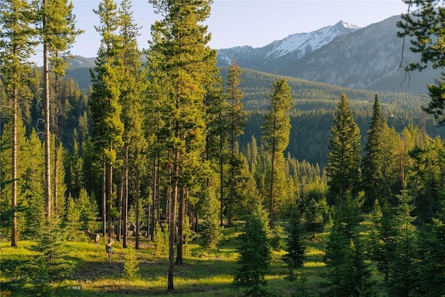LOT206 Outlook Trl, Big Sky, MT 59716 - photo 18