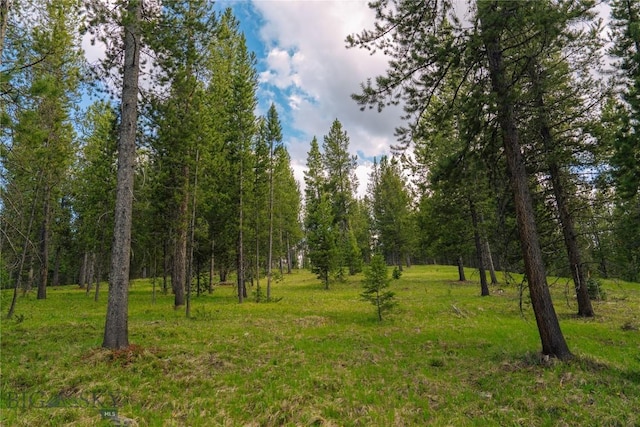 LOT206 Outlook Trl, Big Sky, MT 59716 - photo 19