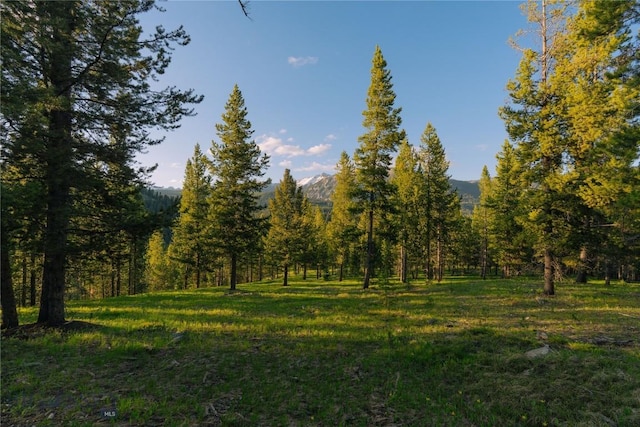 LOT206 Outlook Trl, Big Sky, MT 59716 - photo 20