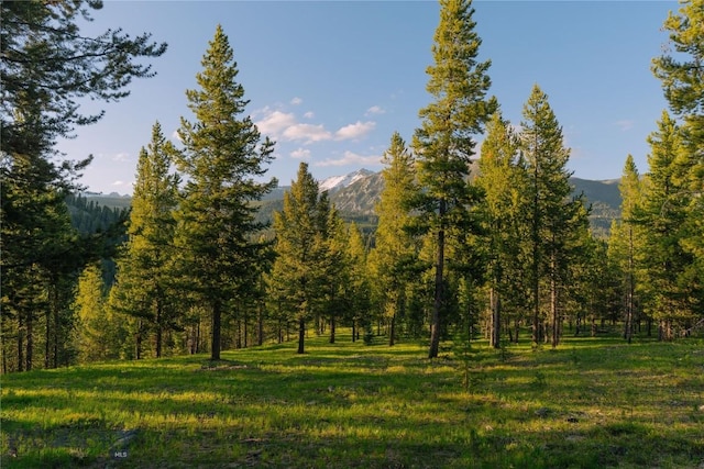 LOT206 Outlook Trl, Big Sky, MT 59716 - photo 21