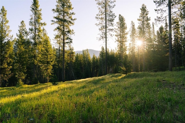 LOT206 Outlook Trl, Big Sky, MT 59716 - photo 22