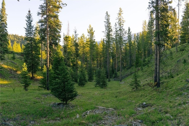 LOT206 Outlook Trl, Big Sky, MT 59716 - photo 23