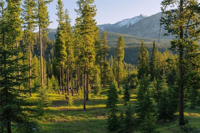 LOT206 Outlook Trl, Big Sky, MT 59716 - photo 24