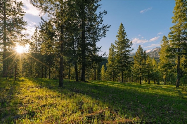 LOT206 Outlook Trl, Big Sky, MT 59716 - photo 25