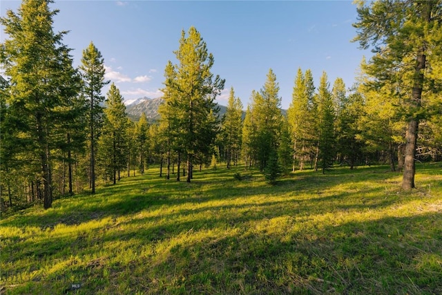 LOT206 Outlook Trl, Big Sky, MT 59716 - photo 26