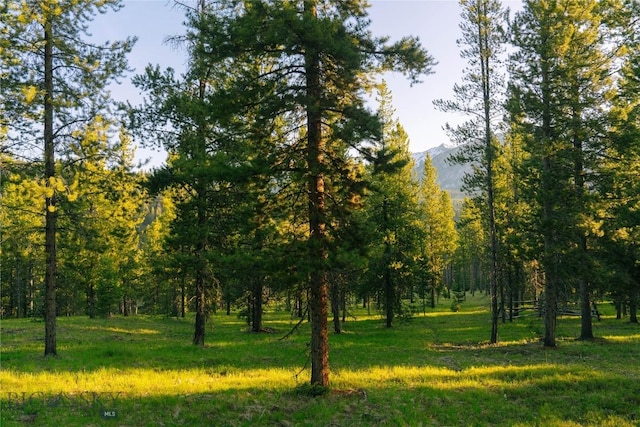 LOT206 Outlook Trl, Big Sky, MT 59716 - photo 27