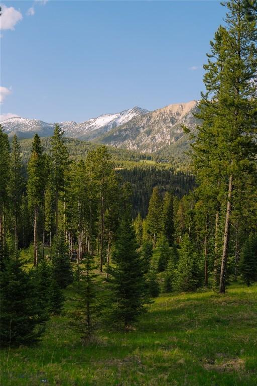 LOT206 Outlook Trl, Big Sky, MT 59716 - photo 30