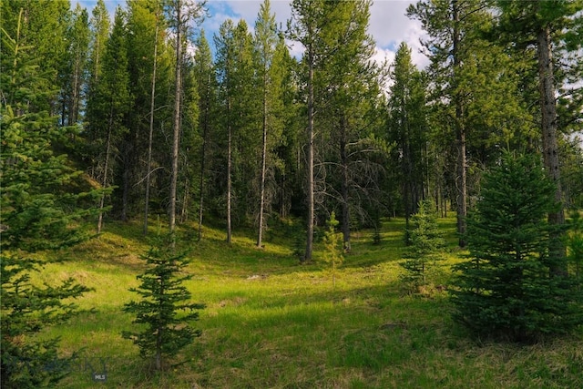 LOT206 Outlook Trl, Big Sky, MT 59716 - photo 31