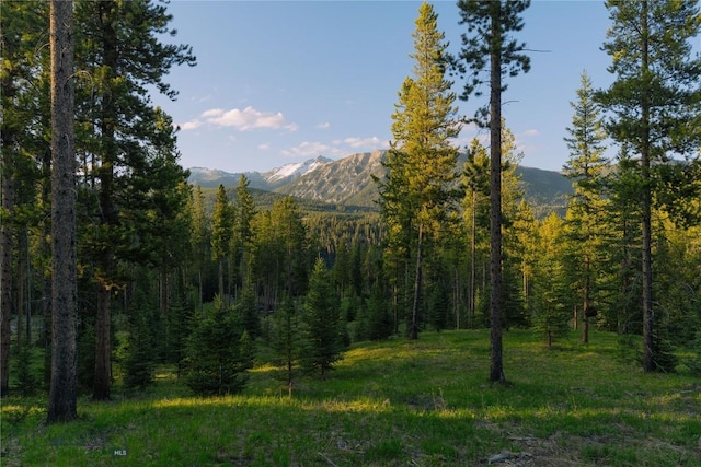 LOT206 Outlook Trl, Big Sky, MT 59716 - photo 32