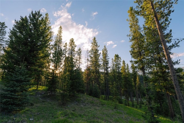 LOT206 Outlook Trl, Big Sky, MT 59716 - photo 33