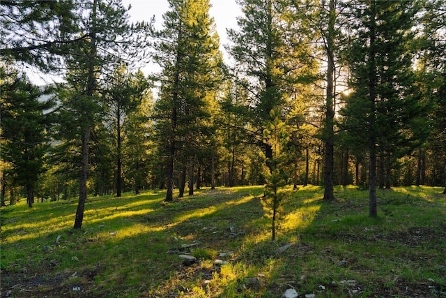 LOT206 Outlook Trl, Big Sky, MT 59716 - photo 34