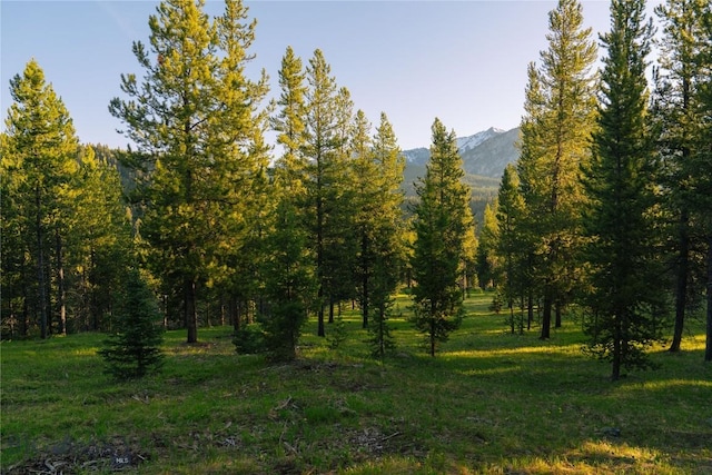 LOT206 Outlook Trl, Big Sky, MT 59716 - photo 35