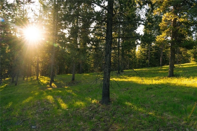 LOT206 Outlook Trl, Big Sky, MT 59716 - photo 36