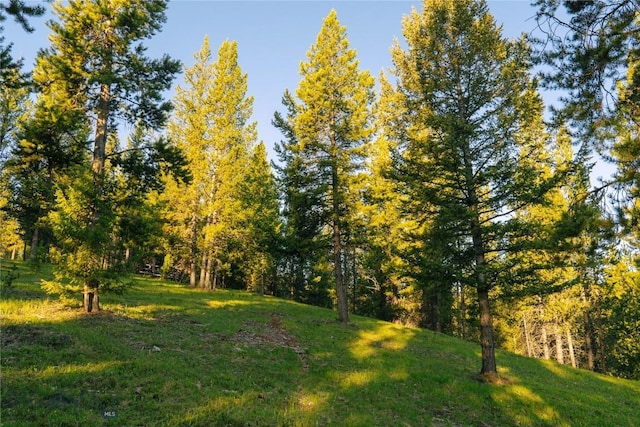 LOT206 Outlook Trl, Big Sky, MT 59716 - photo 37