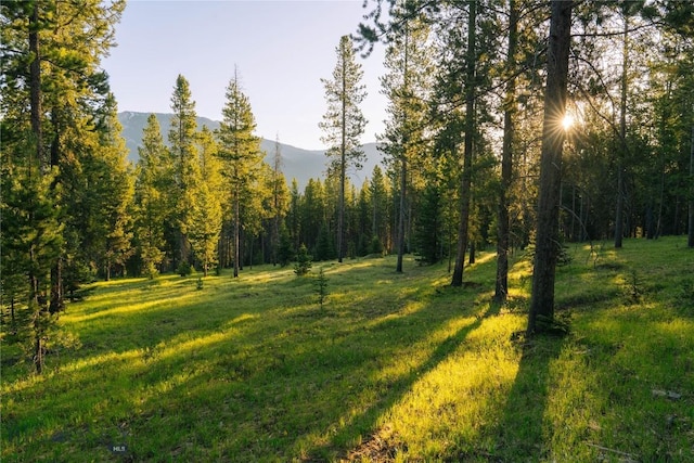 LOT206 Outlook Trl, Big Sky, MT 59716 - photo 38