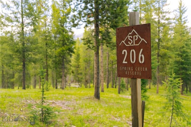 LOT206 Outlook Trl, Big Sky, MT 59716 - photo 1