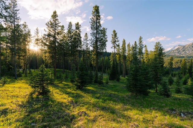 LOT206 Outlook Trl, Big Sky, MT 59716 - photo 5