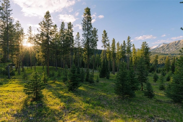LOT206 Outlook Trl, Big Sky, MT 59716 - photo 6