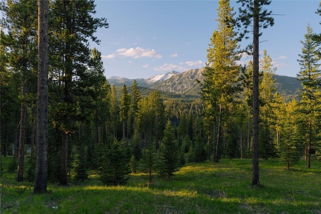 LOT206 Outlook Trl, Big Sky, MT 59716 - photo 8