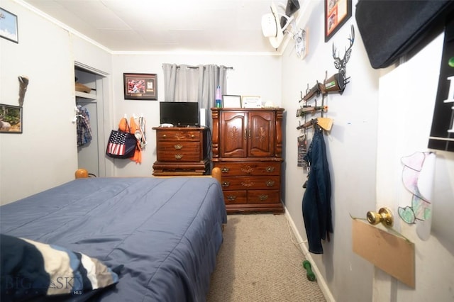 312 S California, Dillon, MT 59725 - bedroom with light colored carpet, ornamental molding, and a closet
