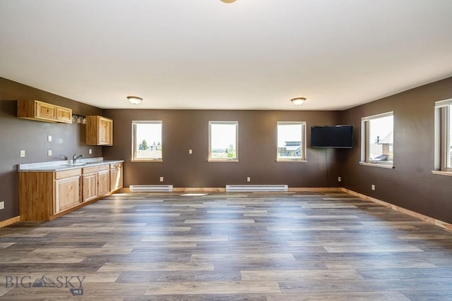 241 Aspen Loop Rd, West Yellowstone, MT 59758 - kitchen featuring a baseboard heating unit, light countertops, and plenty of natural light