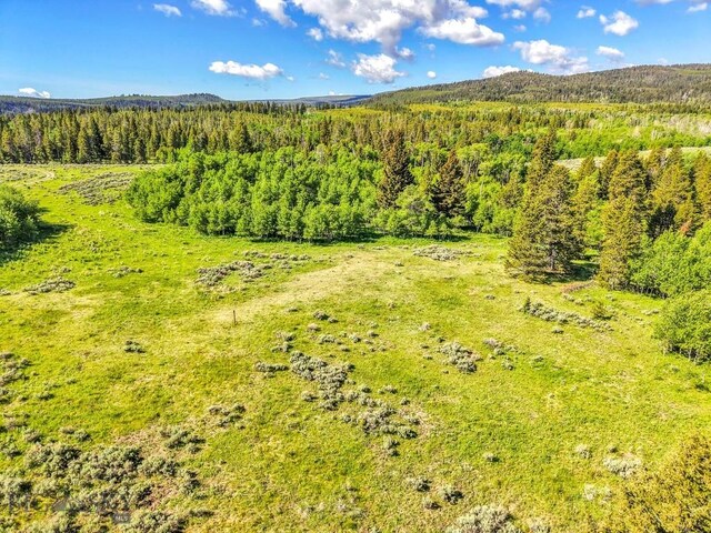 Lot33A Sun W, Cameron, MT 59720 - photo 16
