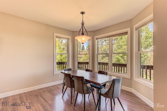 960 Strawberry, Helena, MT 59601 - dining space with healthy amount of natural light and wood finished floors