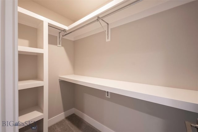 488 Meriwether Ave, Bozeman, MT 59718 - spacious closet featuring dark carpet