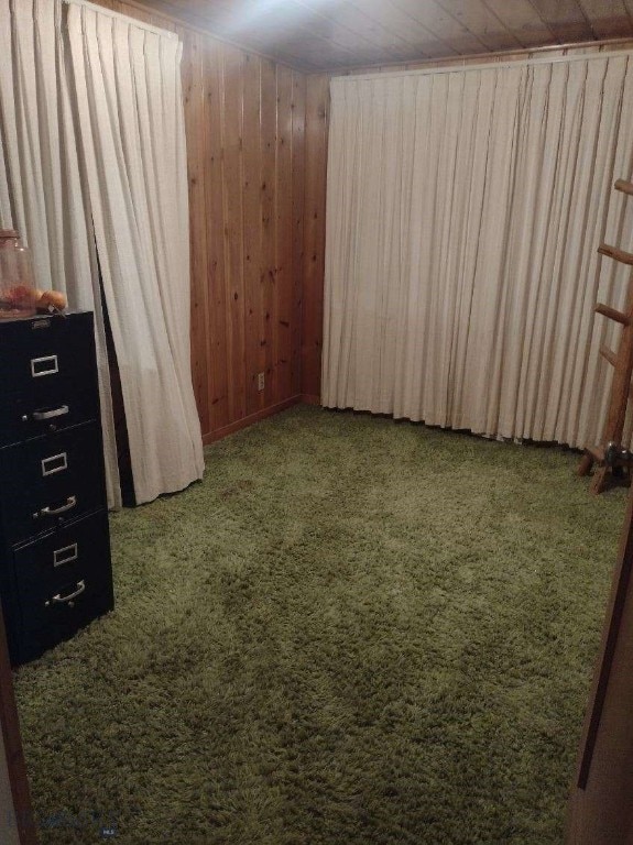 600 C St, Townsend, MT 59644 - unfurnished bedroom with carpet flooring and wooden walls
