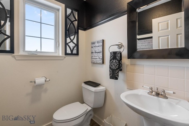 605 E Cameron Brg, Bozeman, MT 59718 - bathroom featuring a sink and backsplash
