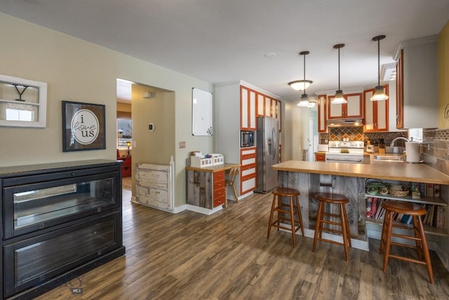 605 E Cameron Brg, Bozeman, MT 59718 - kitchen featuring stainless steel appliances, under cabinet range hood, dark wood finished floors, decorative backsplash, and a peninsula