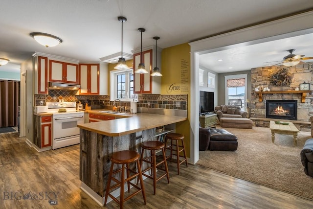 605 E Cameron Brg, Bozeman, MT 59718 - kitchen with white electric range, under cabinet range hood, open floor plan, and ceiling fan