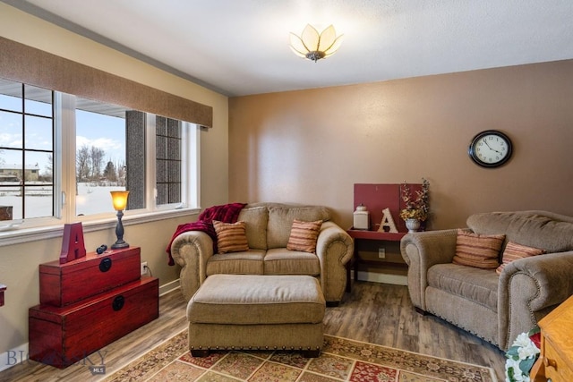 605 E Cameron Brg, Bozeman, MT 59718 - living area with wood finished floors and baseboards