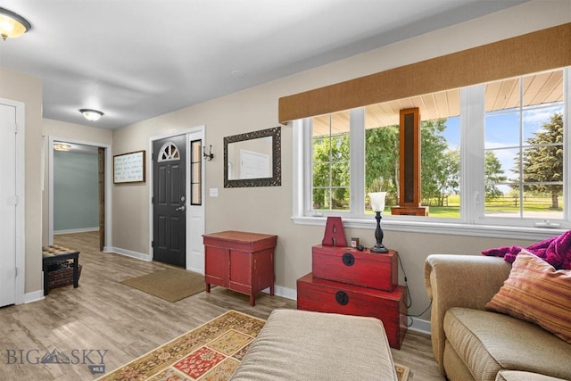 605 E Cameron Brg, Bozeman, MT 59718 - photo 24