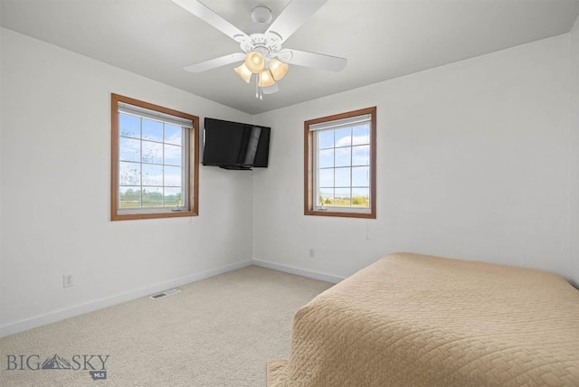 605 E Cameron Brg, Bozeman, MT 59718 - photo 40