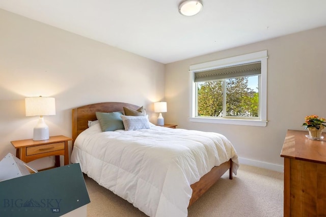 42 Indian Grove Ln, Bozeman, MT 59718 - photo 22