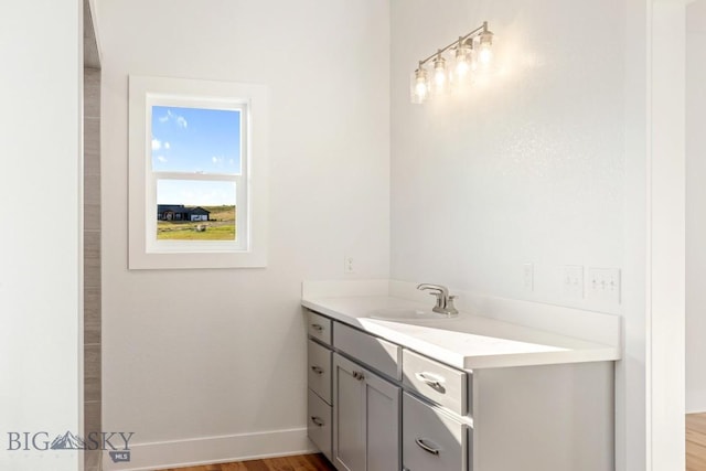 20 Hollow Top Trl, Three Forks, MT 59752 - bathroom with vanity and wood finished floors