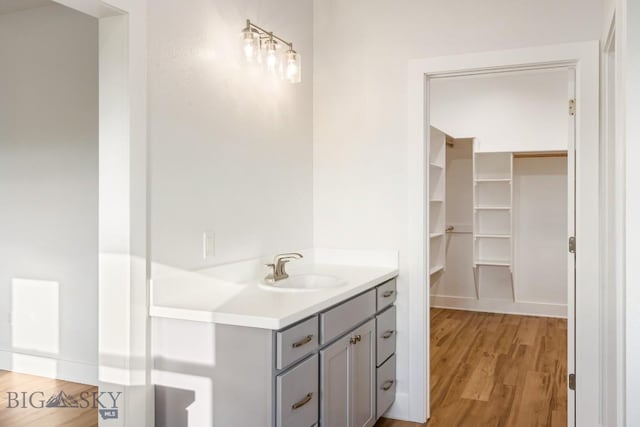 20 Hollow Top Trl, Three Forks, MT 59752 - bathroom with wood finished floors and vanity