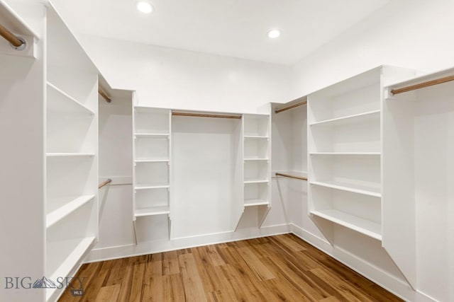 20 Hollow Top Trl, Three Forks, MT 59752 - walk in closet featuring wood finished floors