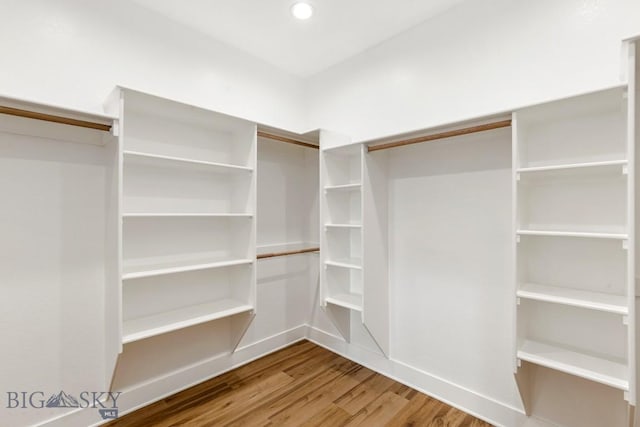 20 Hollow Top Trl, Three Forks, MT 59752 - spacious closet featuring wood finished floors
