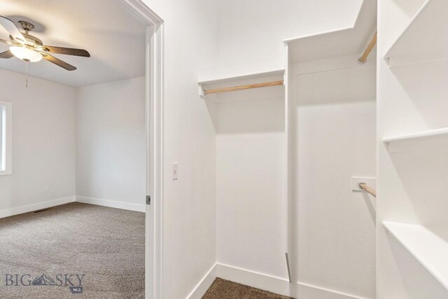 20 Hollow Top Trl, Three Forks, MT 59752 - walk in closet with carpet flooring and ceiling fan