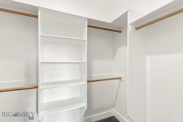 20 Hollow Top Trl, Three Forks, MT 59752 - view of walk in closet